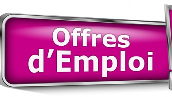 Les offres d'emploi du 29 octobre 2018